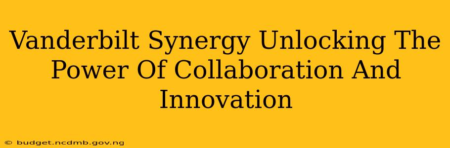 Vanderbilt Synergy Unlocking The Power Of Collaboration And Innovation