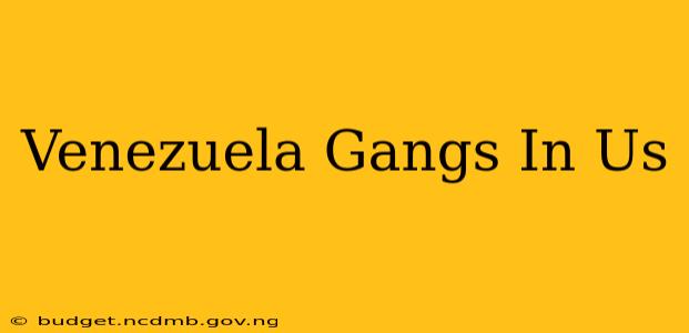 Venezuela Gangs In Us