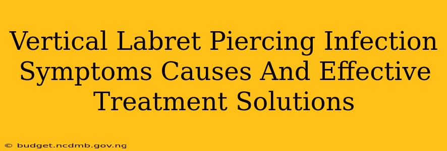 Vertical Labret Piercing Infection Symptoms Causes And Effective Treatment Solutions