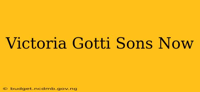 Victoria Gotti Sons Now