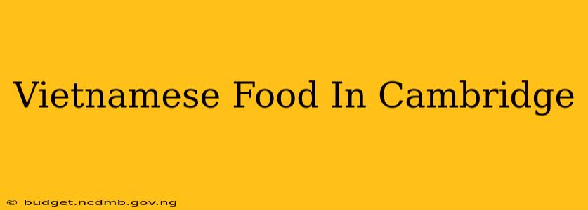 Vietnamese Food In Cambridge