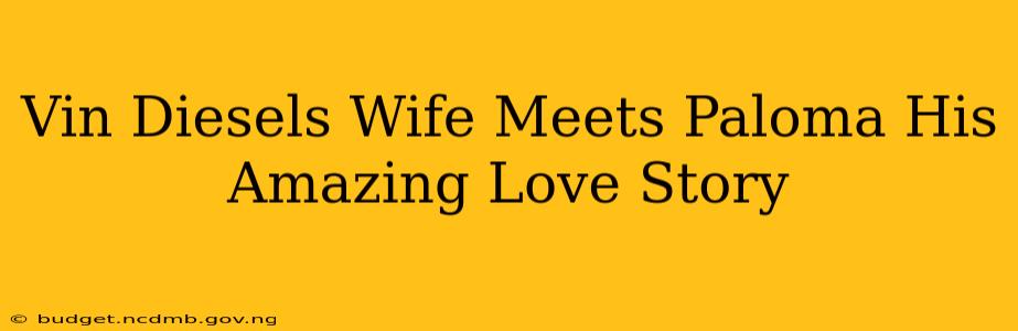 Vin Diesels Wife Meets Paloma His Amazing Love Story