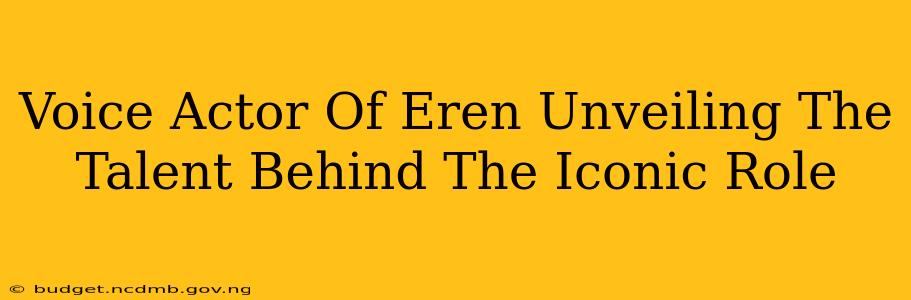 Voice Actor Of Eren Unveiling The Talent Behind The Iconic Role