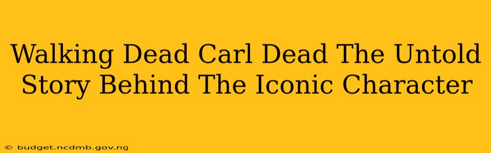Walking Dead Carl Dead The Untold Story Behind The Iconic Character