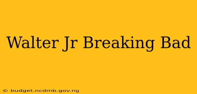 Walter Jr Breaking Bad