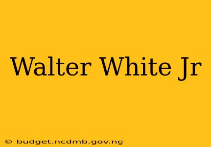 Walter White Jr