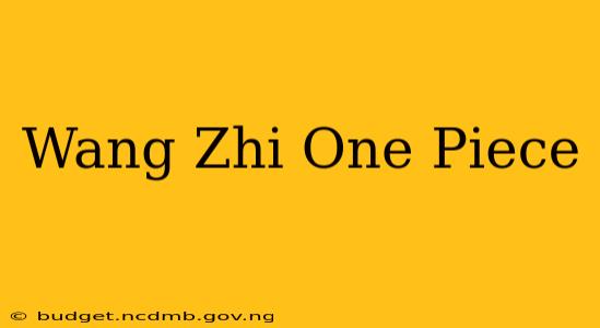 Wang Zhi One Piece