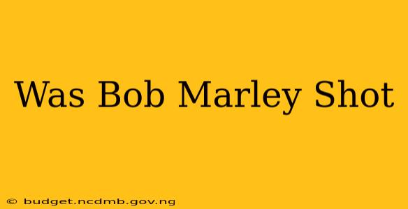 Was Bob Marley Shot
