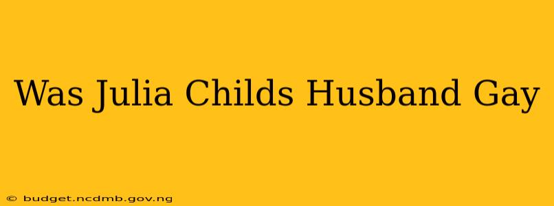 Was Julia Childs Husband Gay