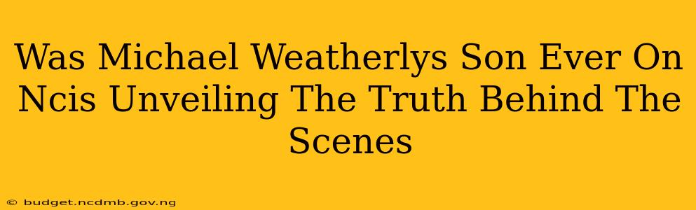 Was Michael Weatherlys Son Ever On Ncis Unveiling The Truth Behind The Scenes