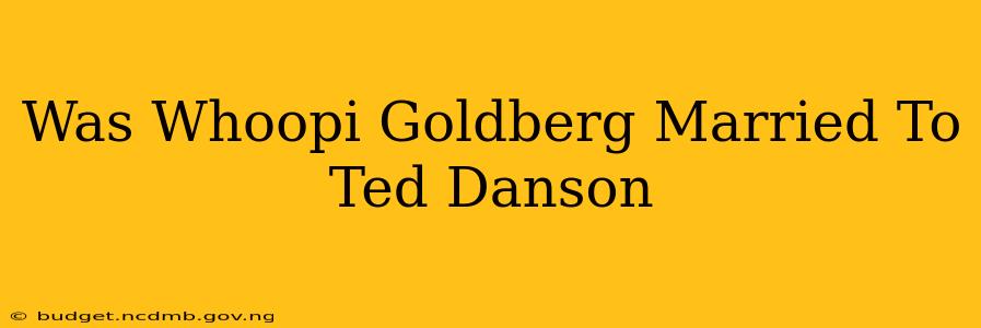 Was Whoopi Goldberg Married To Ted Danson