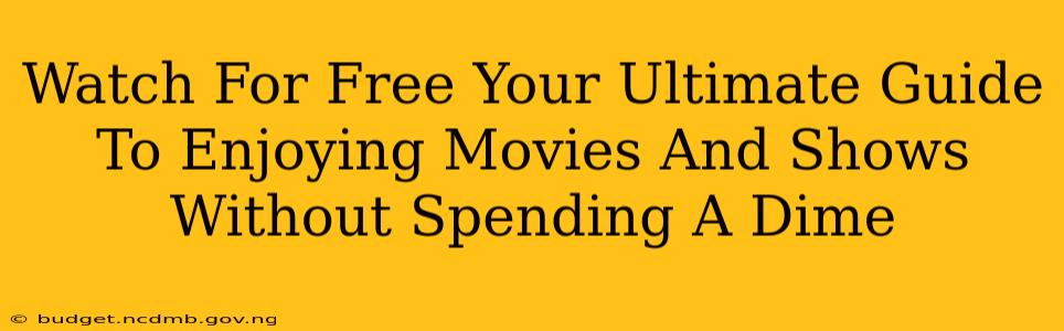 Watch For Free Your Ultimate Guide To Enjoying Movies And Shows Without Spending A Dime