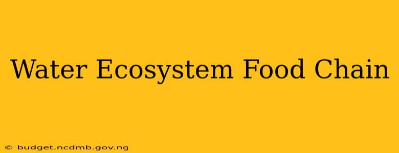 Water Ecosystem Food Chain