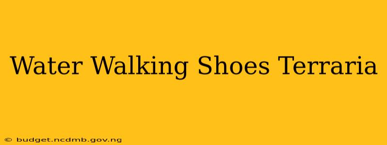 Water Walking Shoes Terraria