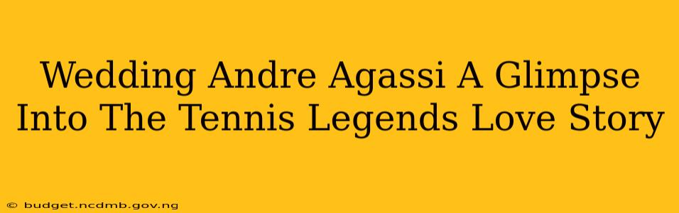 Wedding Andre Agassi A Glimpse Into The Tennis Legends Love Story