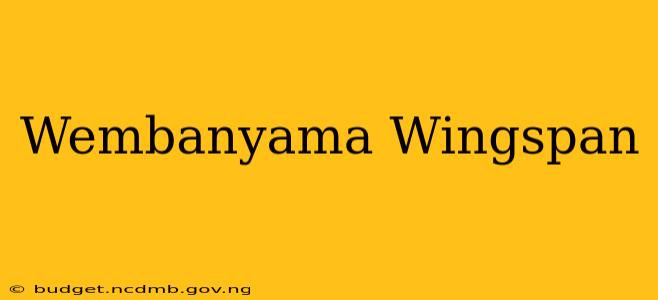 Wembanyama Wingspan