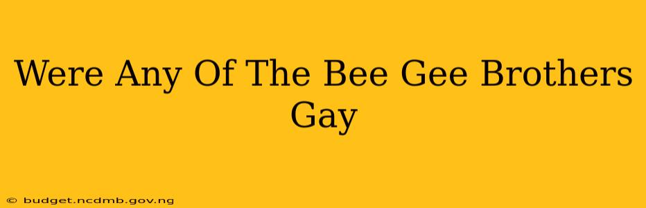 Were Any Of The Bee Gee Brothers Gay