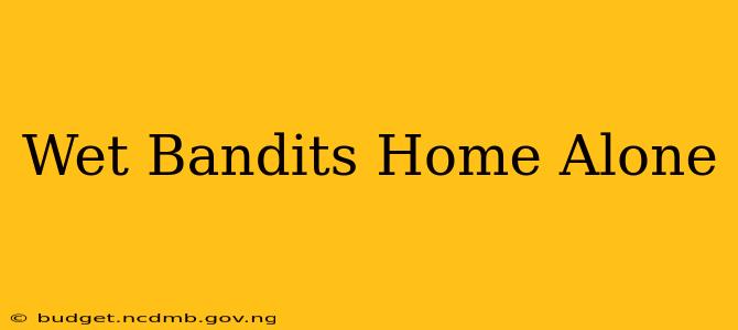 Wet Bandits Home Alone