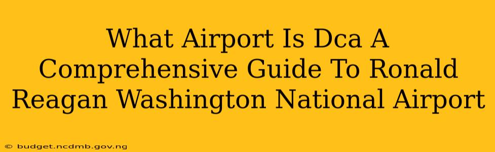 What Airport Is Dca A Comprehensive Guide To Ronald Reagan Washington National Airport