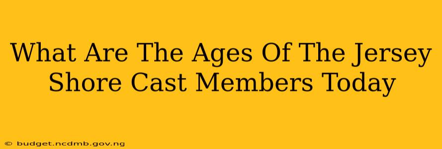 What Are The Ages Of The Jersey Shore Cast Members Today