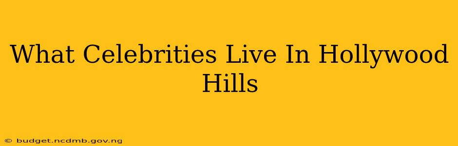 What Celebrities Live In Hollywood Hills