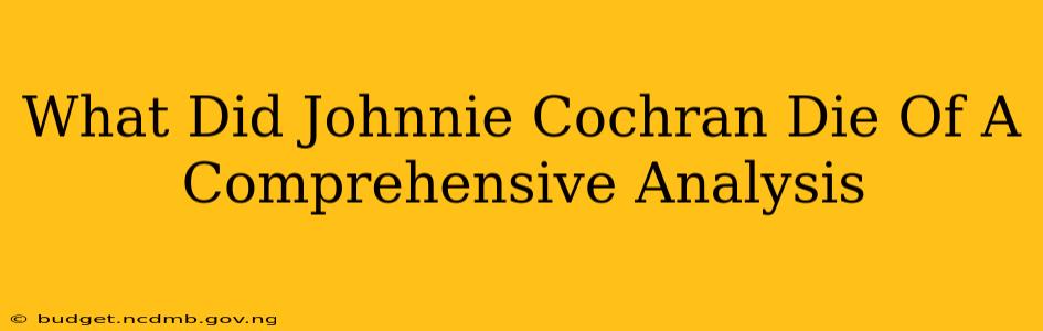 What Did Johnnie Cochran Die Of A Comprehensive Analysis