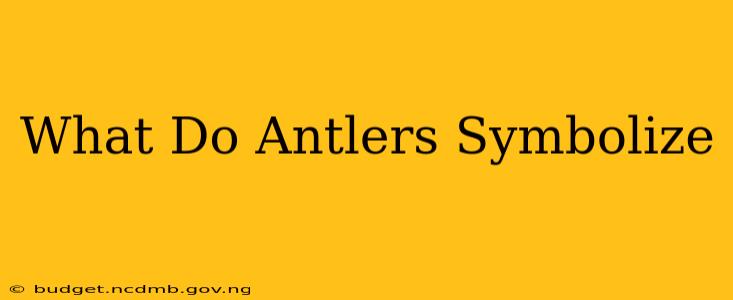 What Do Antlers Symbolize