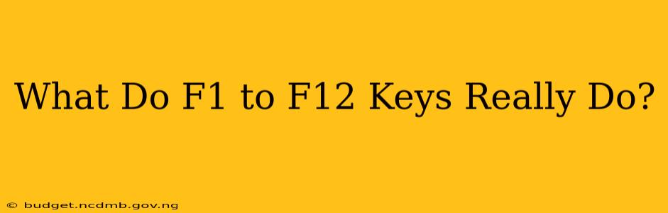 What Do F1 to F12 Keys Really Do?