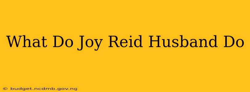 What Do Joy Reid Husband Do