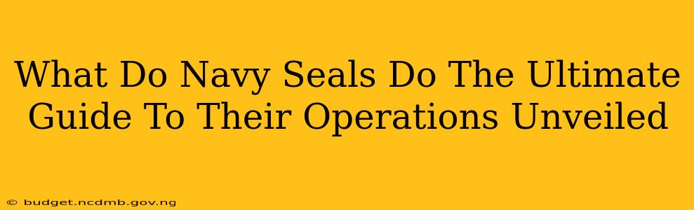 What Do Navy Seals Do The Ultimate Guide To Their Operations Unveiled
