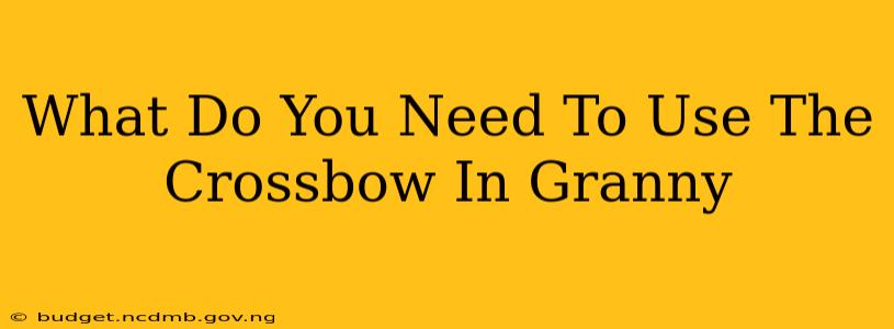 What Do You Need To Use The Crossbow In Granny