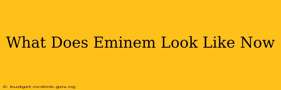 What Does Eminem Look Like Now