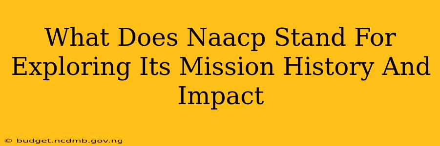 What Does Naacp Stand For Exploring Its Mission History And Impact