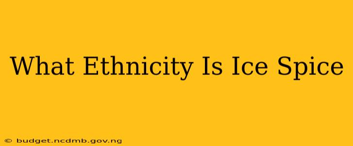 What Ethnicity Is Ice Spice