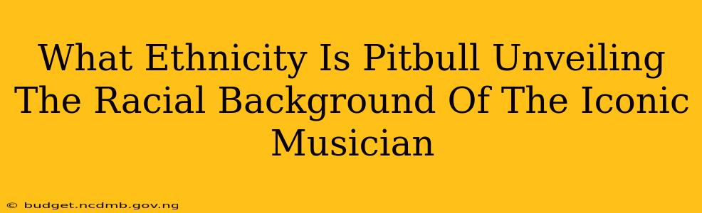 What Ethnicity Is Pitbull Unveiling The Racial Background Of The Iconic Musician