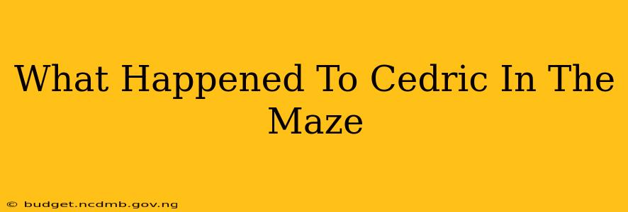 What Happened To Cedric In The Maze