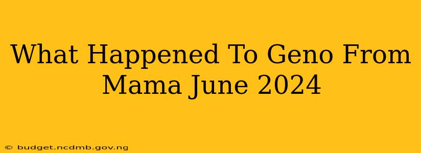 What Happened To Geno From Mama June 2024