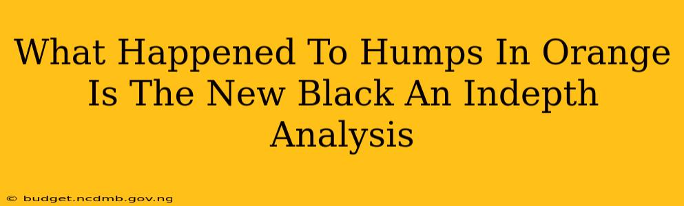 What Happened To Humps In Orange Is The New Black An Indepth Analysis