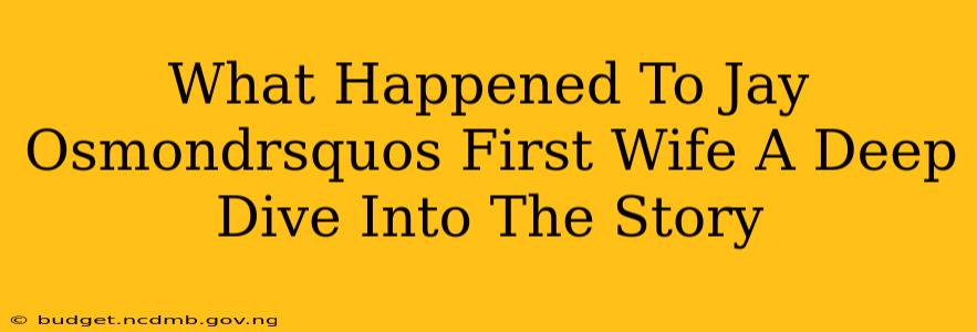 What Happened To Jay Osmondrsquos First Wife A Deep Dive Into The Story