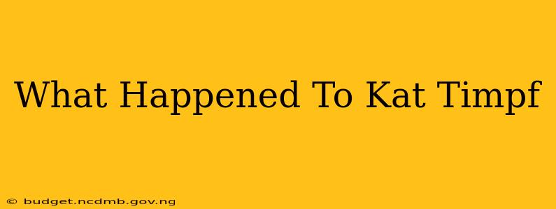 What Happened To Kat Timpf