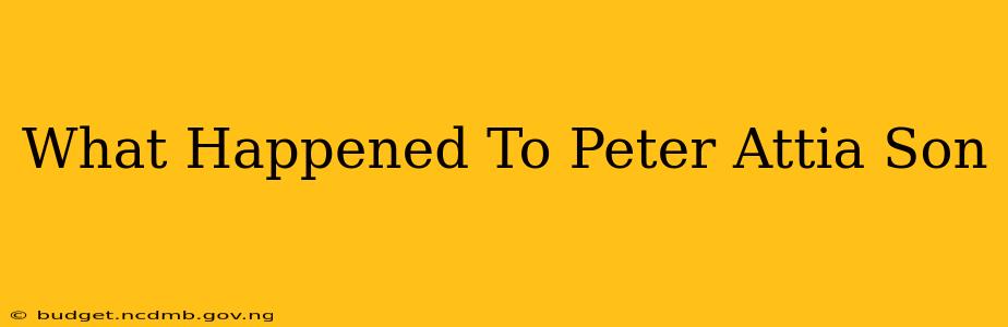 What Happened To Peter Attia Son