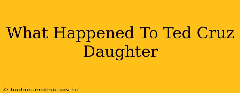 What Happened To Ted Cruz Daughter
