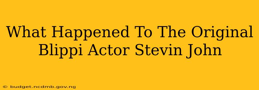 What Happened To The Original Blippi Actor Stevin John