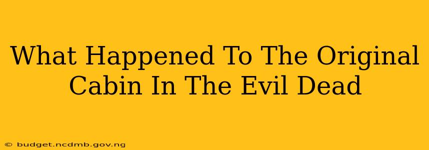 What Happened To The Original Cabin In The Evil Dead