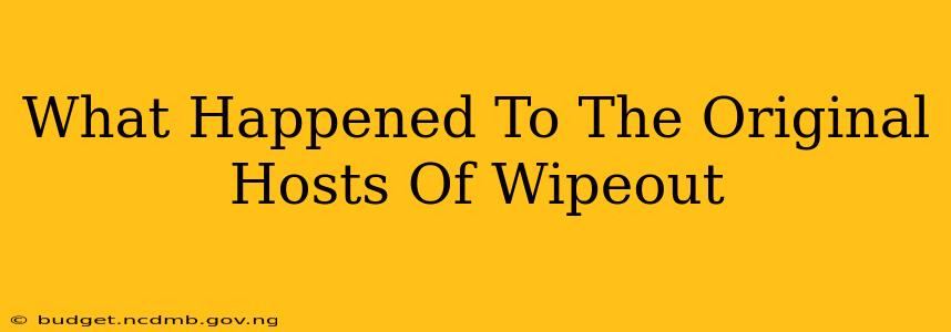 What Happened To The Original Hosts Of Wipeout