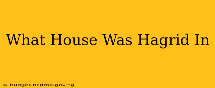 What House Was Hagrid In