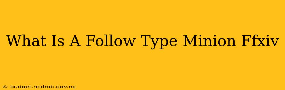 What Is A Follow Type Minion Ffxiv