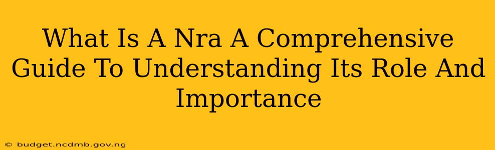 What Is A Nra A Comprehensive Guide To Understanding Its Role And Importance