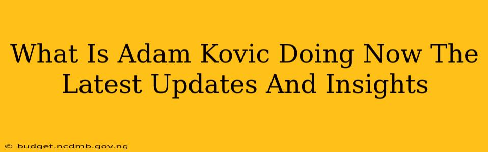 What Is Adam Kovic Doing Now The Latest Updates And Insights