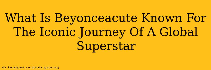 What Is Beyonceacute Known For The Iconic Journey Of A Global Superstar